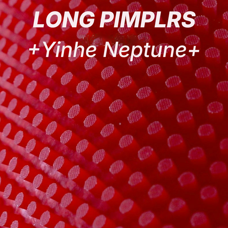 مطاط تنس الطاولة YINHE NEPTUNE - مراجعة Table Tennis Defense وسعره